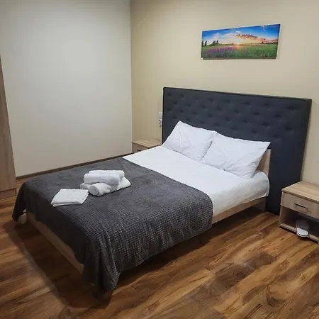 Pensiunea Hanul Huniazilor Hotel 3*