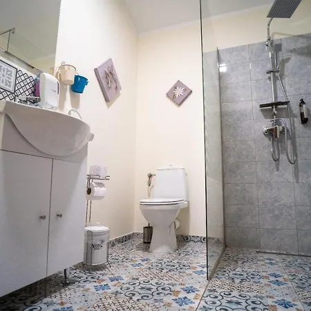 Hotel Pensiunea Hanul Huniazilor