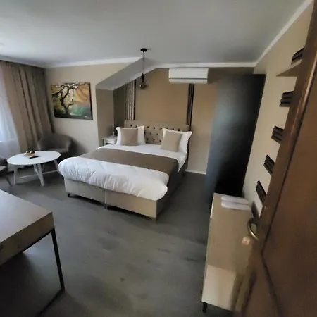Pensiunea Hanul Huniazilor Hotel 3*