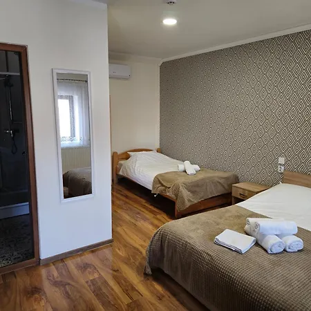 Pensiunea Hanul Huniazilor 3* Hunedoara